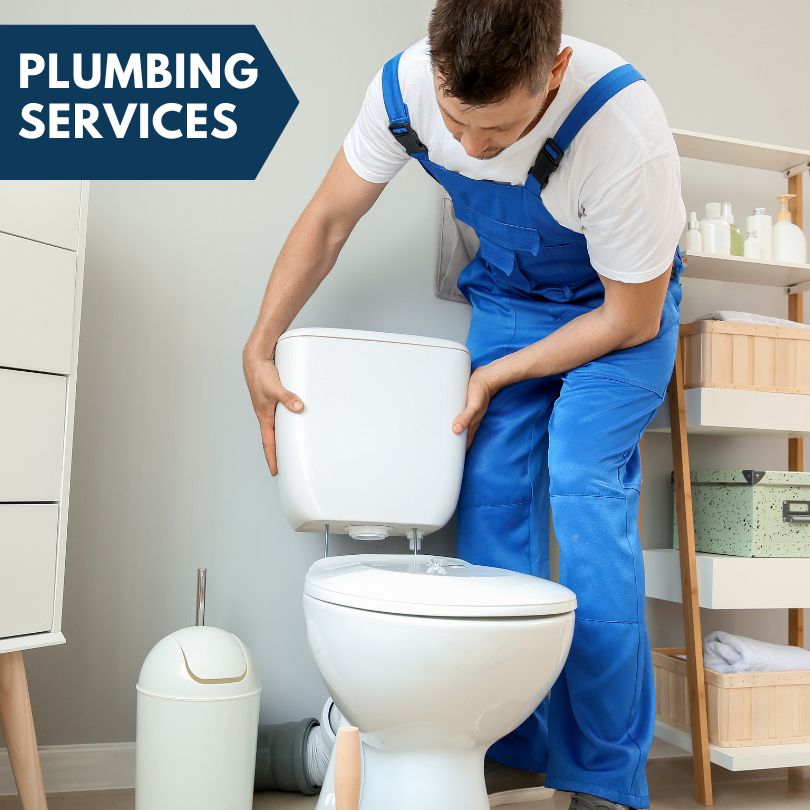 Plumbing Company in Rodney, MI